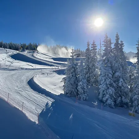 Walzer Kg Schladming